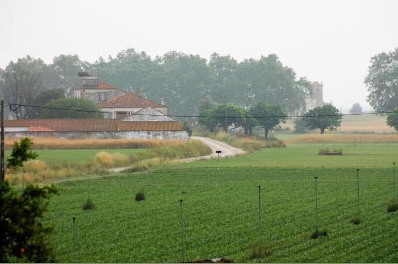 Azinhaga Casa De Azzancha旅馆 外观 照片