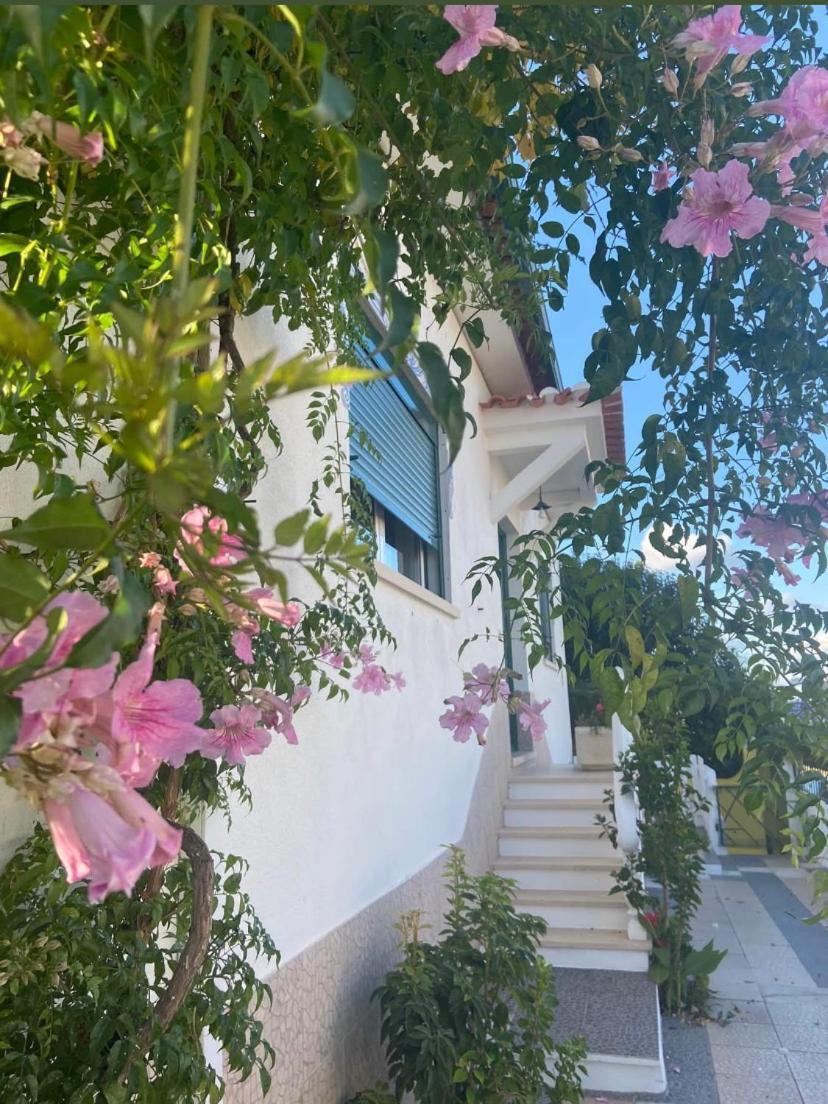 Azinhaga Casa De Azzancha旅馆 外观 照片